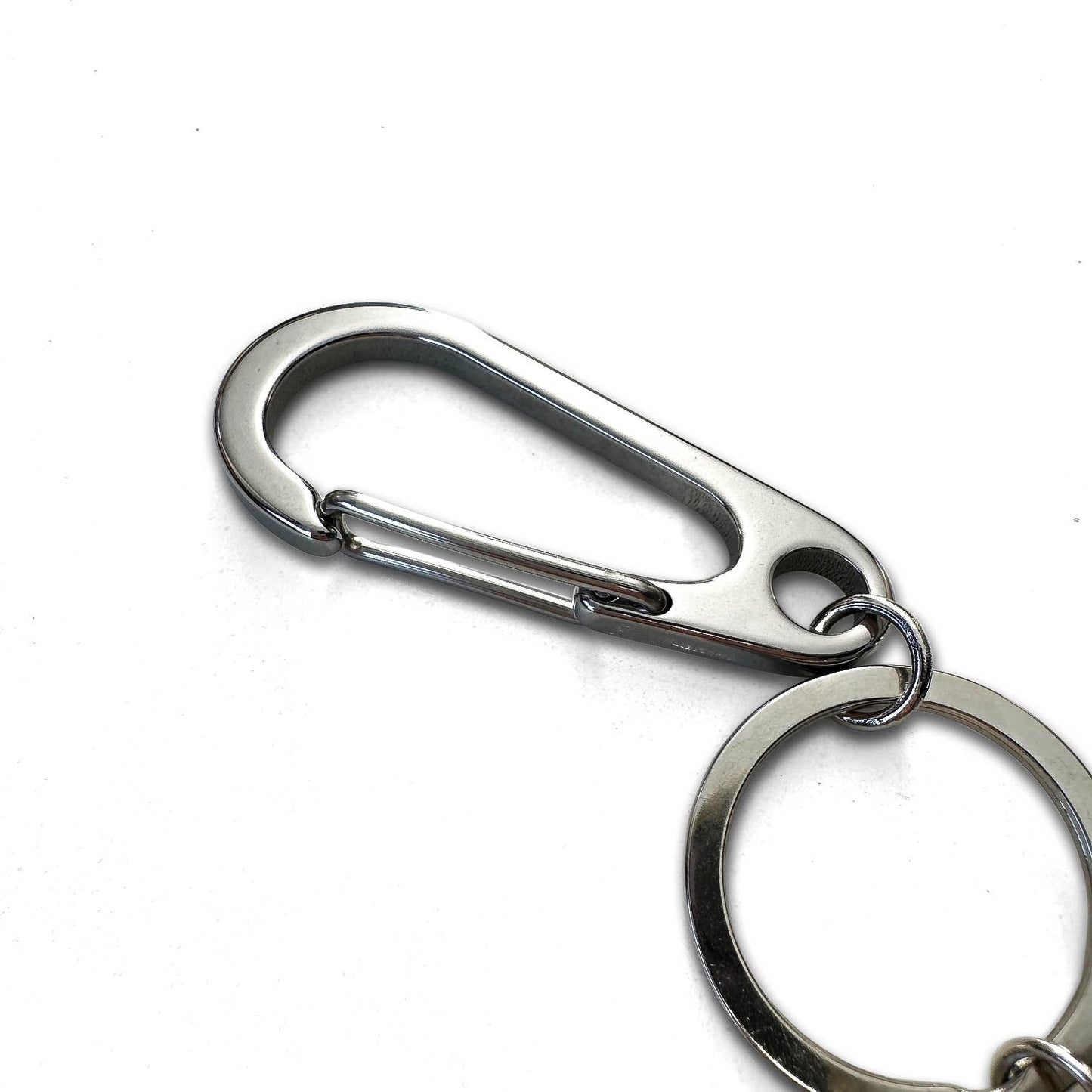 Aqua Snake Lord Carabiner Keychain